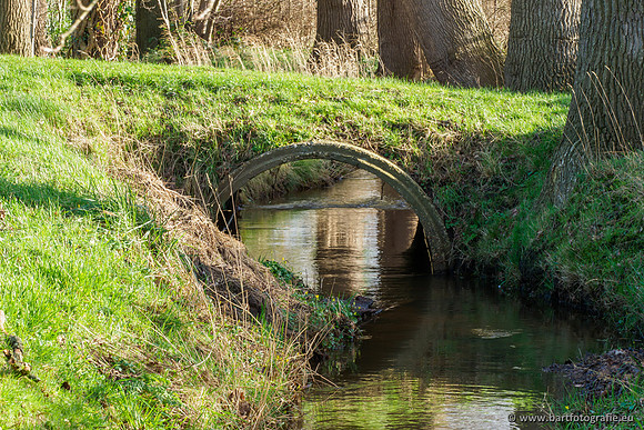 Wendhorstbeek 250220-119