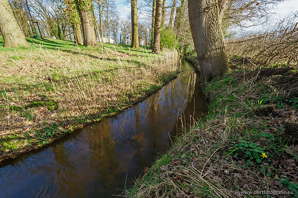 Wendhorstbeek 250220-120
