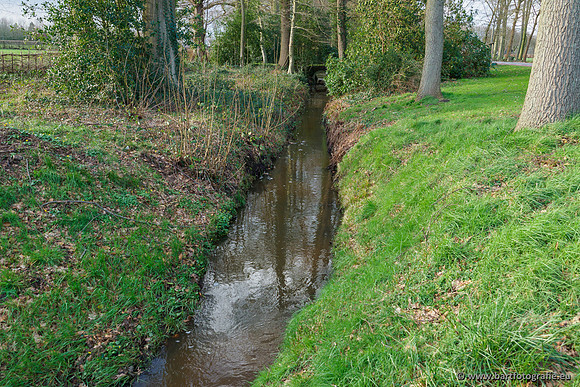 Wendhorstbeek 250220-121
