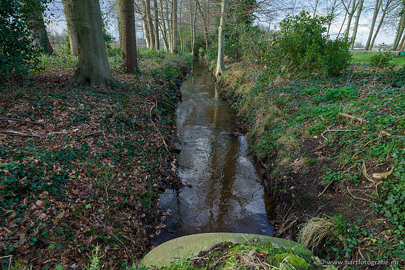 Wendhorstbeek 250220-122