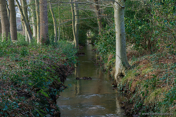Wendhorstbeek 250220-123
