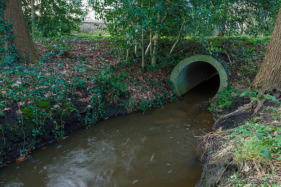 Wendhorstbeek 250220-124