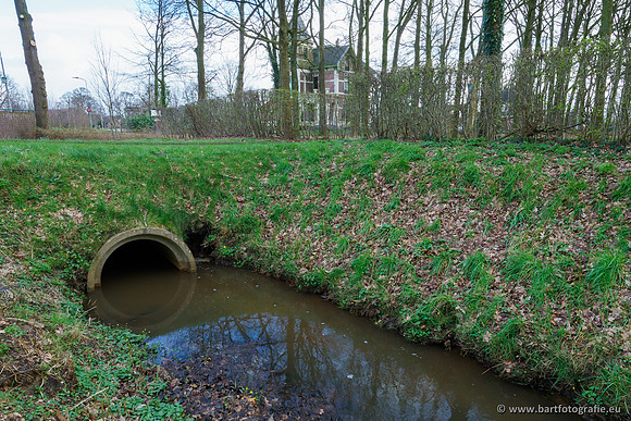 Wendhorstbeek 250220-127