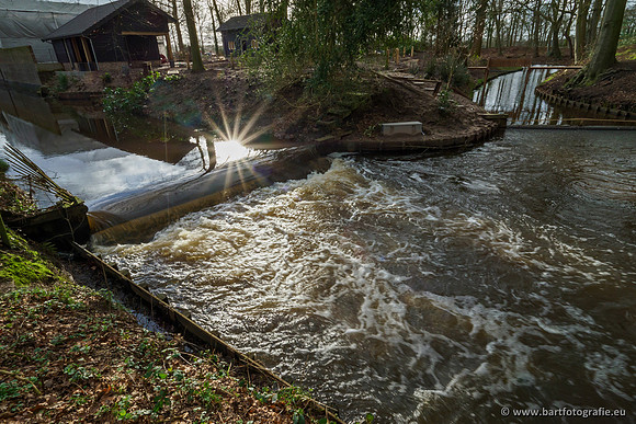 Wendhorstbeek 250220-136