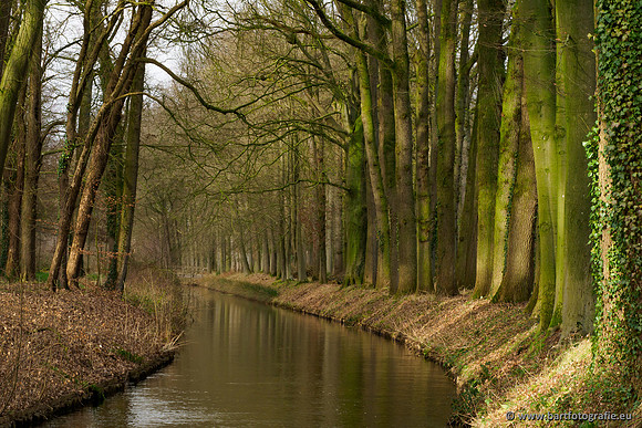 Wendhorstbeek 250220-137