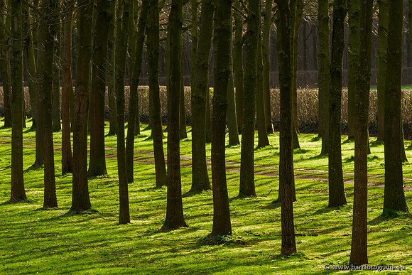 Wendhorstbeek 250220-139