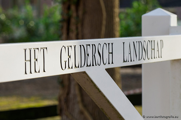 Wendhorstbeek 250220-140