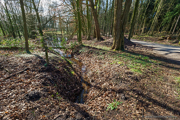 Spijkerspreng 070320-003