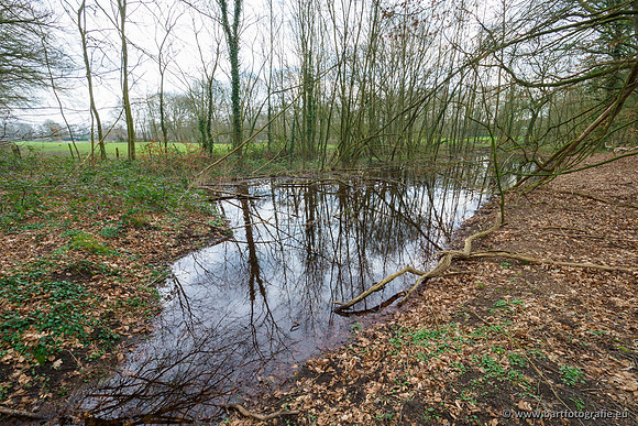 Spijkerspreng 070320-004