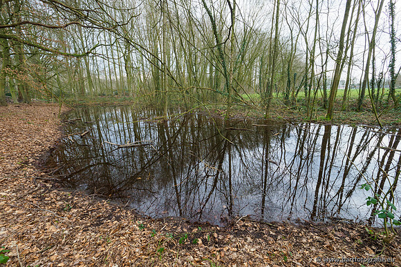 Spijkerspreng 070320-005