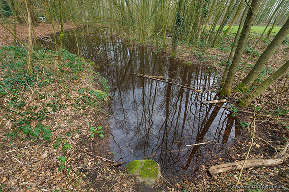 Spijkerspreng 070320-006