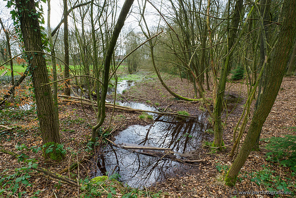 Spijkerspreng 070320-007