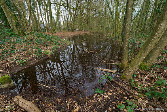 Spijkerspreng 070320-008