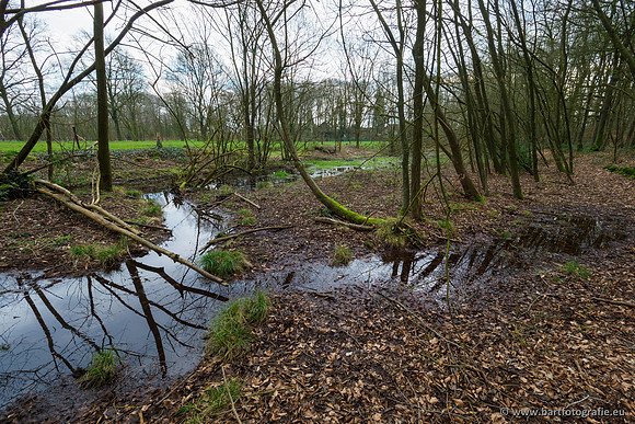 Spijkerspreng 070320-009