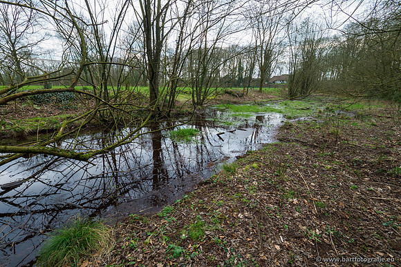 Spijkerspreng 070320-010