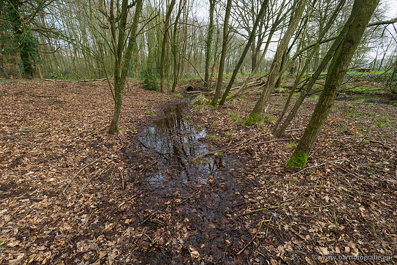 Spijkerspreng 070320-011