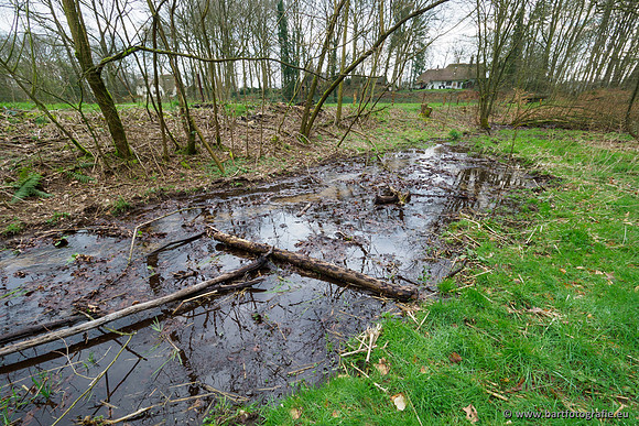 Spijkerspreng 070320-012