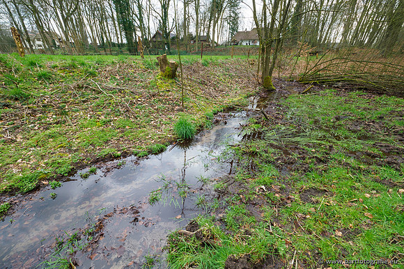 Spijkerspreng 070320-013