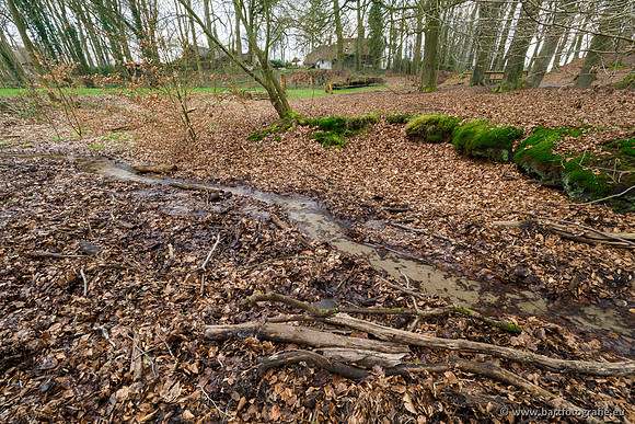 Spijkerspreng 070320-014