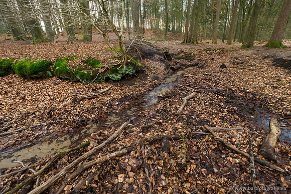 Spijkerspreng 070320-015