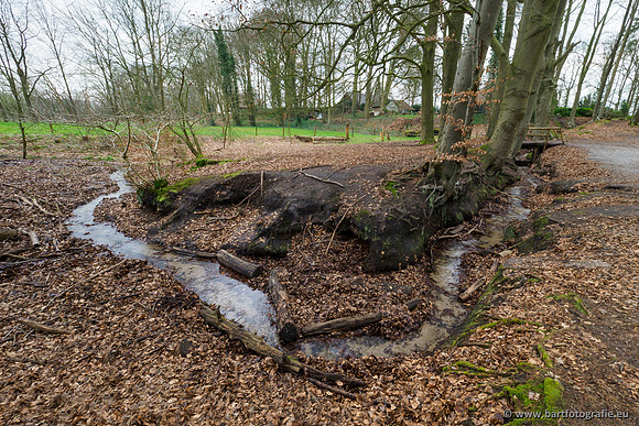 Spijkerspreng 070320-017