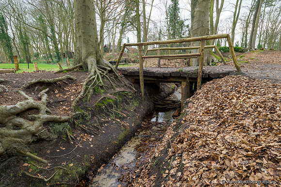 Spijkerspreng 070320-019