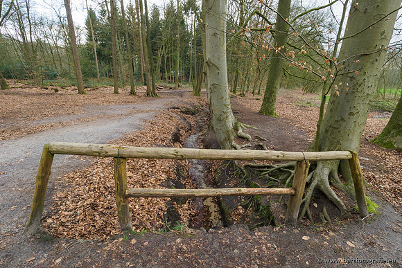 Spijkerspreng 070320-020