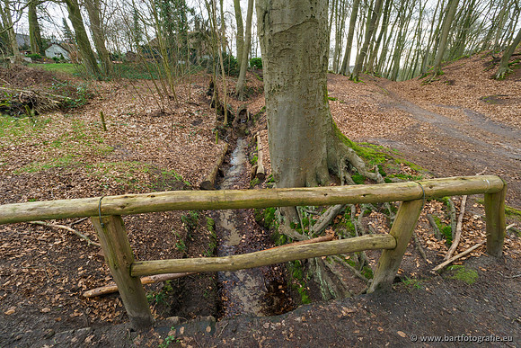 Spijkerspreng 070320-021