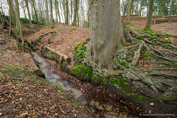 Spijkerspreng 070320-022