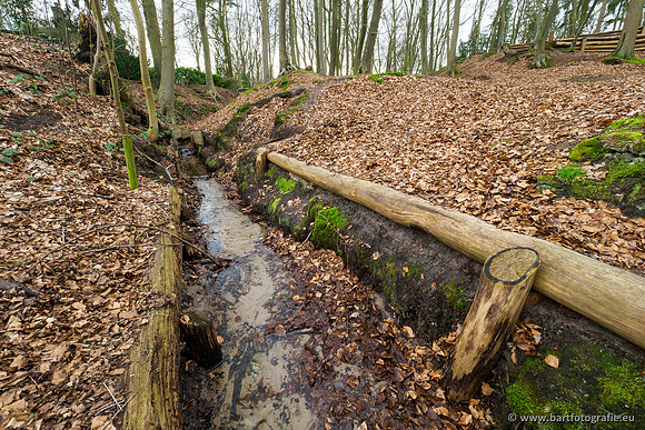 Spijkerspreng 070320-024
