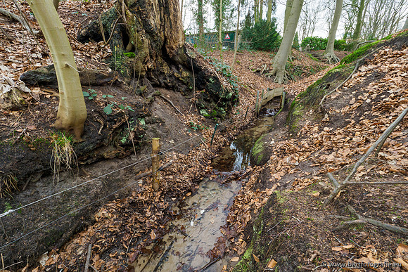 Spijkerspreng 070320-025