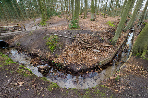 Spijkerspreng 070320-028