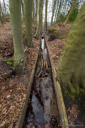 Spijkerspreng 070320-029