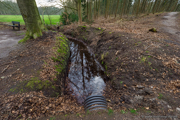 Spijkerspreng 070320-030