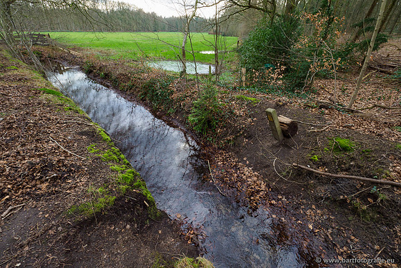 Spijkerspreng 070320-031