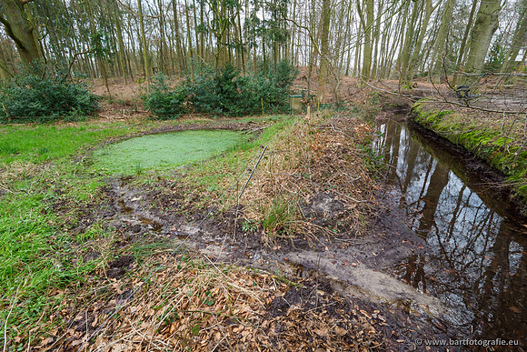 Spijkerspreng 070320-032