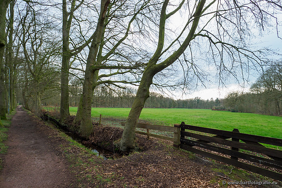 Spijkerspreng 070320-033