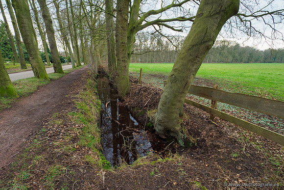Spijkerspreng 070320-034