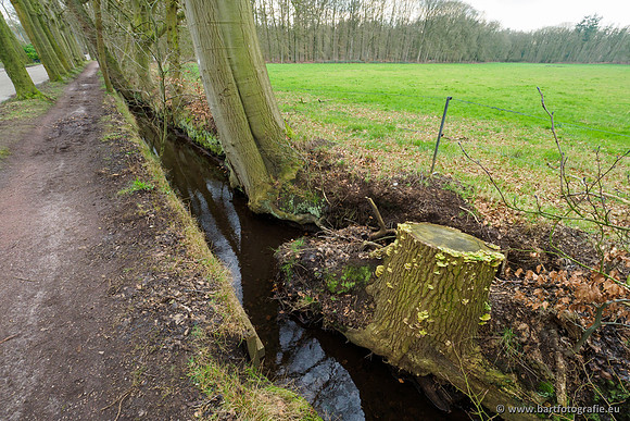 Spijkerspreng 070320-035