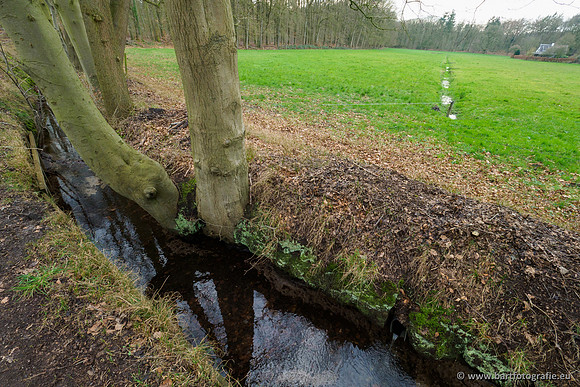 Spijkerspreng 070320-036