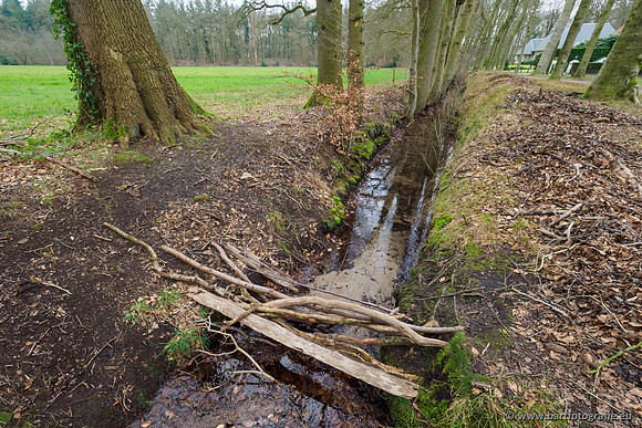 Spijkerspreng 070320-037