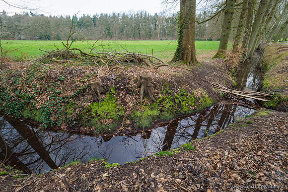 Spijkerspreng 070320-038