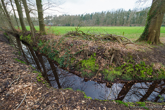 Spijkerspreng 070320-039