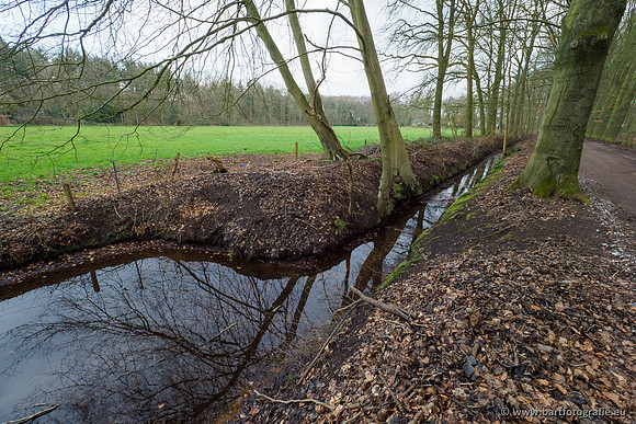 Spijkerspreng 070320-040