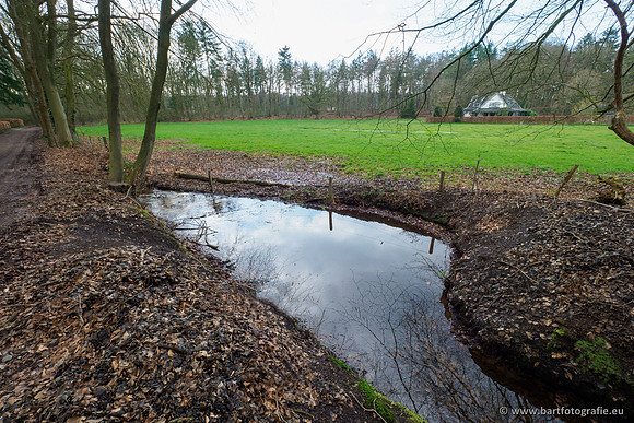Spijkerspreng 070320-041