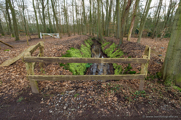 Spijkerspreng 070320-042