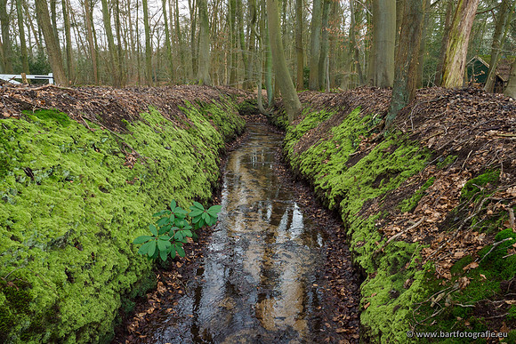Spijkerspreng 070320-043