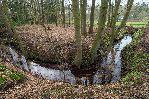 Spijkerspreng 070320-044