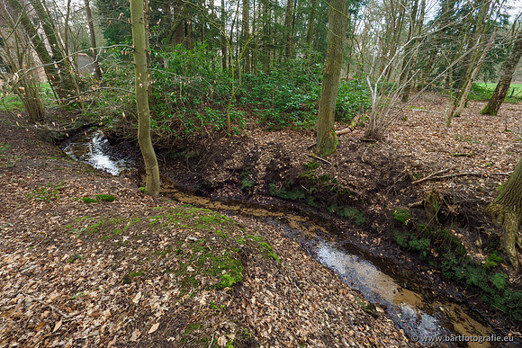 Spijkerspreng 070320-045