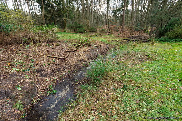 Spijkerspreng 070320-049
